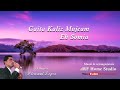 Gaita Kaliz Mujeam | Konkani Devotional song | arf home studio | Pleasant lopez |