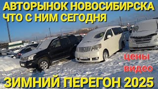 ЗАКРЫТЫЙ АВТОРЫНОК ? ОПАСНЫЙ ЗИМНИЙ ПЕРЕГОН, ЯНВАРЬ 2025