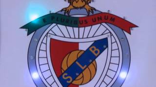 Benfica Soccer Team Framed LED Image