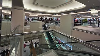 Montgomery Twinkie-M Escalators At Dillard’s Men’s Saint Louis Galleria In Richmond Heights, MO