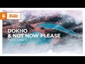 Dokho & Not Now Please - Two Lakes [Monstercat Release]