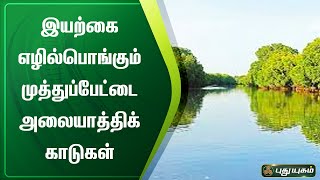 இயற்கை எழில்பொங்கும் முத்துப்பேட்டை அலையாத்திக் காடுகள் | செய்தித் துளிகள் | PuthuyugamTV