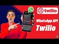 How to Use Twilio WhatsApp Sandbox to Send and Receive Messages Using Twilio WhatsApp Number?