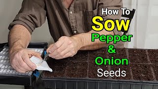 Sowing Pepper and Onion Seeds