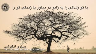 یا تو زندگی را به زانو دربیاور یا زندگی تو‌ را - ویدئوی انگیزشی