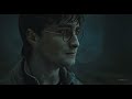 harry u0026 dumbledore chasing scars