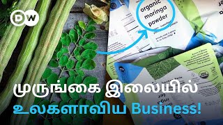 முருங்கை இலை, மரவள்ளி கிழங்குக்கு இப்படி ஒரு Demandஆ? கழிவுகளை காசாக்கும் Ghana Startup நிறுவனங்கள்