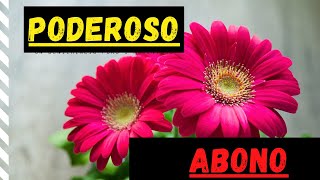 🌼PODEROSO ABONO ORGANICO!!  para que Tus PLANTAS NUNCA SE MUERAN| Fertilizante Casero Natural🌻