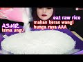 ASMR RAW RICE COLLAB WITH @NENI ASMR, @Neni putri | MKN BERAS BUNGA RAYA AAA | 生ご飯を食べる | 밥을 먹다 | 吃生米