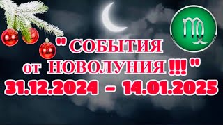 ДЕВА: «СОБЫТИЯ от НОВОЛУНИЯ с 31.12.2024 по 14.01.2025!!!»