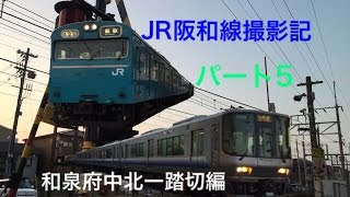 JR阪和線撮影記  パート5  和泉府中北一踏切編