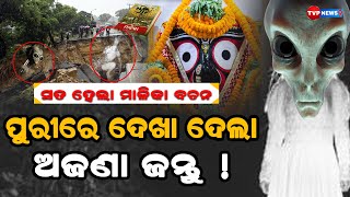 ମାଳିକା ଲେଖା ସତ ହେଲା, କଳି ସହ ଗୋଟେ ପରେ ଗୋଟେ ହେଉଛି ସାମ୍ନା l Malika l Spiritual l tvpnews9