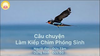 Câu chuyện  Làm Kiếp Chim Phóng Sinh 