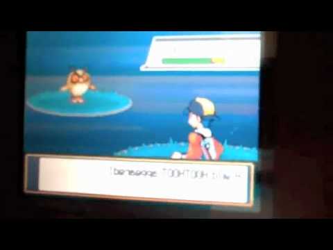 How to catch growlithe in pokemon heart gold and soul silver How to catch growlithe in pokemon heart gold and soul silver