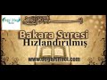 bakara suresi hızlandırılmış mehmet altundal hoca