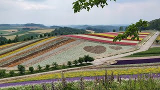 20240709- 0723日本北海道之旅04天