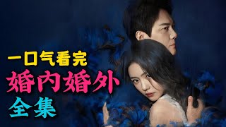 一口气看完《婚内婚外》全集：心机渣男布下婚姻骗局！手撕渣男痛快爽剧！