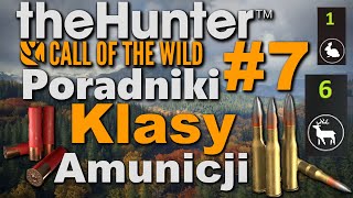 TheHunter: Call of the wild Poradnik #7 - Klasy Amunicji