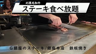 【ステーキ食べ放題】鉄板焼/銀座/東京/TOKYO/도쿄