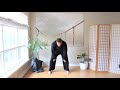 meridian cleansing qigong