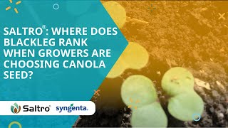 Saltro®: Where does blackleg rank when growers are choosing canola seed?