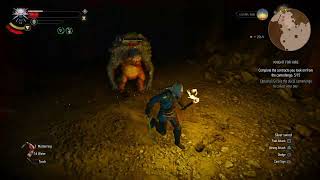 troll hide liver \u0026 enhanced ursine boots diagram locations | Witcher 3