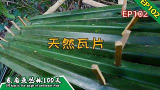 EP102 Pure Natural Tile丨Challenge the Jungle Survival for 100 Days DAY71