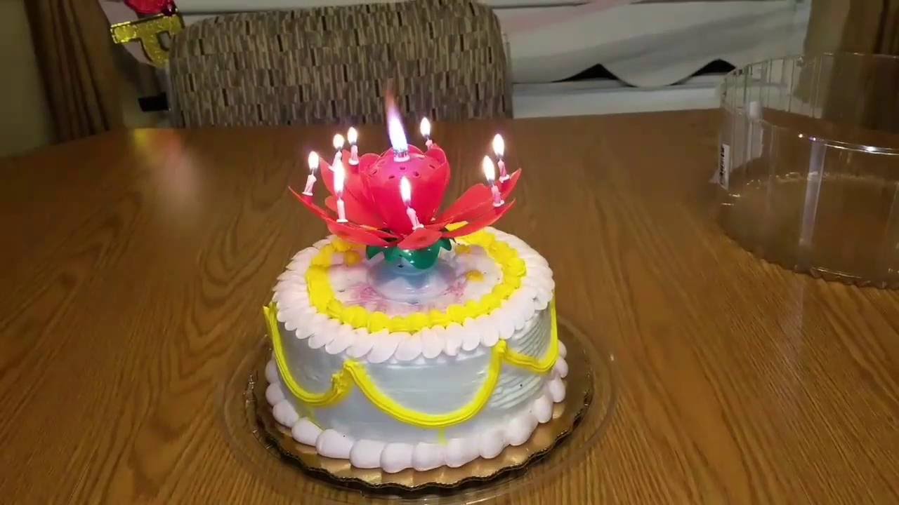Birthday Flower Candle Images Best Flower Site