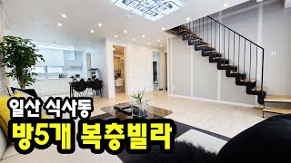 [369] 방이 다섯개! 넓은 테라스!! 일산 식사동 넓은 집 복층빌라 추천드려요!