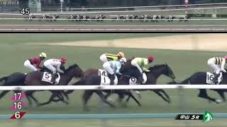 2025年1月12日中山5R 3歳未勝利　芝2000m ニシノエピカリ