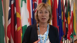 Regional action for the Global Goals - Olga Algayerova at the High-Level Political Forum