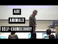 Are Animals Self-Conscious? | Jordan Peterson