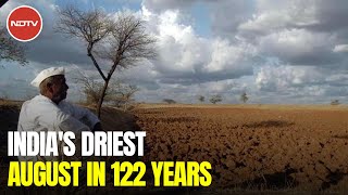 Drought In Madhya Pradesh, Maharashtra: Farmers Destroy Own Crops