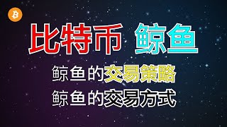 比特币鲸鱼都是谁？鲸鱼的交易策略？鲸鱼的交易方式是什么？｜ 比特币 新闻2021