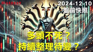 【大昌證券】2024年12月10日盤前快照：多頭不死？持續整理待變？