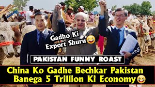 Ab Gadho Ke Sahare Pakistan | Pakistan Export Donkeys To China | Pakistan Funny Roast | Twibro