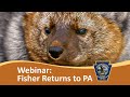 The Fisher Returns to Penn's Woods - Webinar