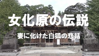 女化原の伝説（妻に化けた白狐の悲話）