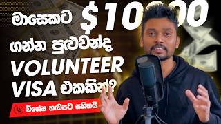 මාසෙකට $10000 ක් හොයන්න පුළුවන් කියන visa eka 💵 Volunteer visa 🌏 New Zealand