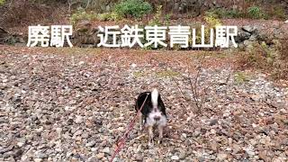 廃駅　近鉄東青山駅