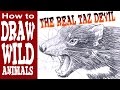 How to Draw the Real Taz Devil (Intermediate - Spoken Tutorial)