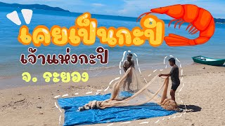 เจ้าแห่งกะปิ | เคยเป็นกะปิ | ของดีเมืองระยอง | จ.ระยอง | Go with me ไปกับหิน