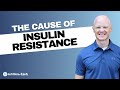 Expert's Finding on the Cause of Insulin Resistance - Dr. Ben Bikman