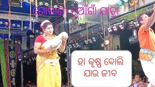 ହା କୃଷ୍ଣ ବୋଲି ଯାଉ ଜୀବ title song# ଗୋଷାଣୀନୂଆଁଗାଁ ଯାତ୍ରା # berhampur #ganjam //2024