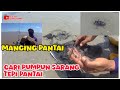 Cara mencari umpan pumpun sarang tepi pantai | Mancing pantai