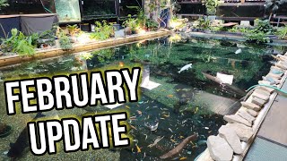 February Update: Monster Fish and Upcoming Projects
