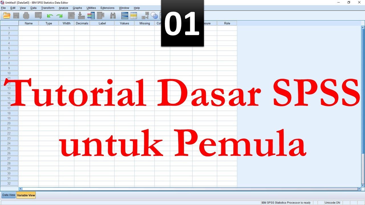 Tutorial Spss Untuk Pemula - YouTube