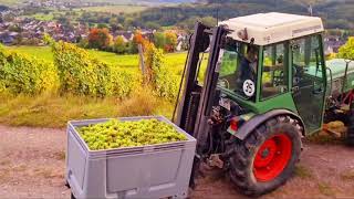 Tour of Weingut Müller