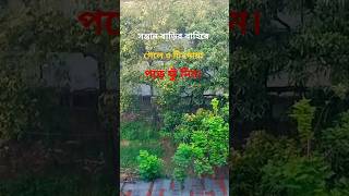 সন্তান বাড়ির বাহিরে গেলে ৩টি দোয়া পড়ে ফুঁ দিন #shortsviral