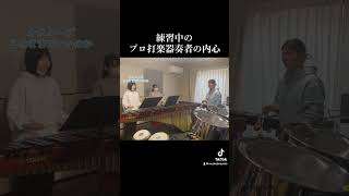 【プロ打楽器奏者の内心】小物打楽器大集合 #shorts #打楽器トリオマスケ#マスケ#percussion #marimba